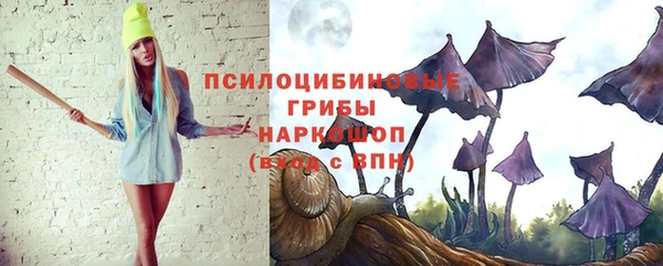 экстази Богородск