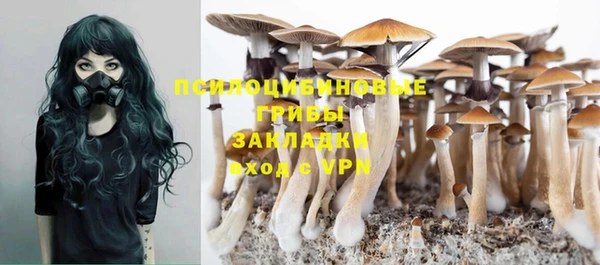 таблы Богданович