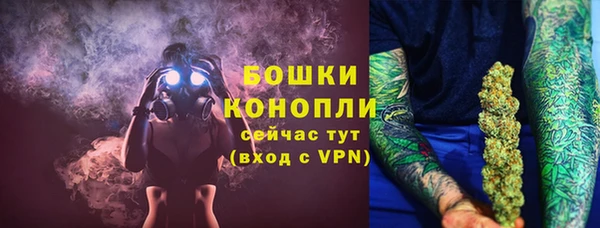 mdpv Богородицк