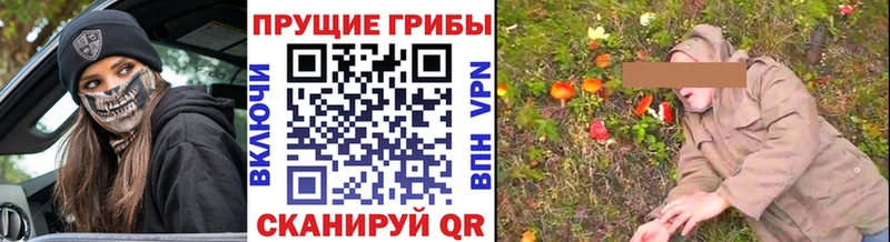 мориарти какой сайт  Дубовка  Псилоцибиновые грибы GOLDEN TEACHER 